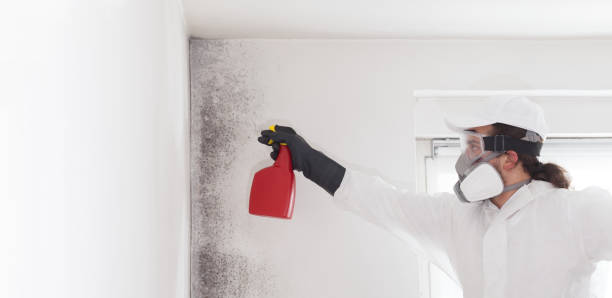 Best Mold Testing  in Houma, LA