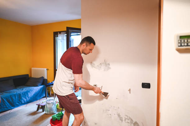 Best Home Mold Removal  in Houma, LA